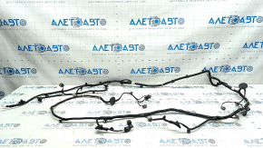 Trunk Wiring Honda Insight 19-22