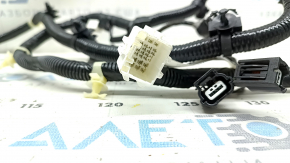 Trunk Wiring Honda Insight 19-22