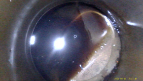 Engine 2ZR-FXE Toyota Prius 50 16-18 65k