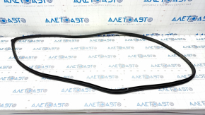 Door seal front left Hyundai Elantra AD 17-20
