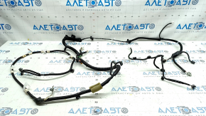 Toyota Camry v55 15-17 usa trunk lid wiring