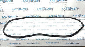Lexus RX350 RX450h 16-22 trunk door rubber seal