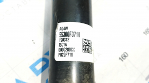 Rear shock absorber left Hyundai Elantra AD 19-20 with support