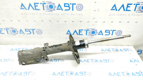 Rear left shock absorber Toyota Camry v55 15-17 usa LE