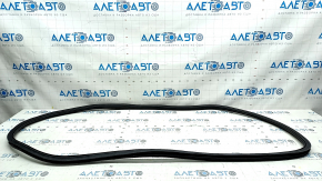 Door seal rear left BMW X5 G05 19-23