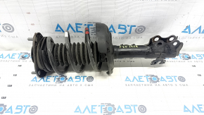 Shock absorber strut assembly front right Toyota Prius 50 19-22 FWD