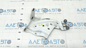 Door hinge lower rear left Toyota Sienna 21-25