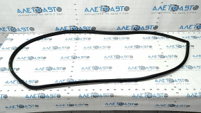 Door seal front right Toyota Sienna 21-25