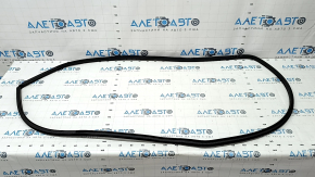 Door seal front left Toyota Sienna 21-25