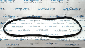 Door seal rear left Toyota Sienna 21-25