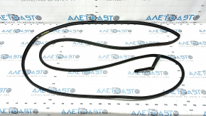 Rear left door seal Toyota Sienna 21-25