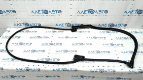 Front left door seal Toyota Sienna 21-25