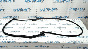 Front right door seal Toyota Sienna 21-25