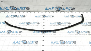 Door seal rear right upper Toyota Sienna 21-25