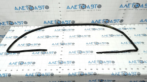 Toyota Sienna 21-25 hood seal on bumper