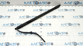 Shock absorber trunk door right Toyota Sienna 22-25 electric