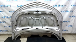 Naked hood Chevrolet Volt 16 - silver GAN, aluminum, sand