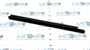 Glass seal inside front right door Toyota Sienna 21-25