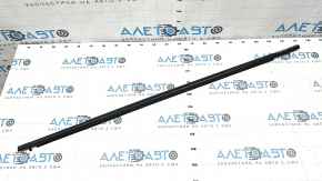 Molding door-glass central front left Toyota Sienna 21-25 black