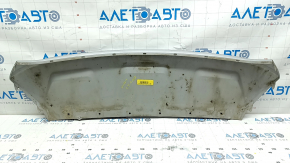 Front bumper lip trim Ford Escape MK3 17-19 rest silver, scratches, abrasions
