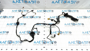 Rear right door wiring Audi Q5 80A 18-24