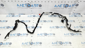 Trunk Door Wiring CT200h 11-17