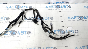 Trunk Door Wiring CT200h 11-17