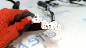 Trunk Door Wiring CT200h 11-17