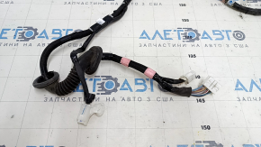 Toyota Prius V 12-17 Trunk Door Wiring
