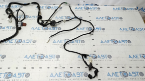 Toyota Avalon 13-15 Trunk Lid Wiring