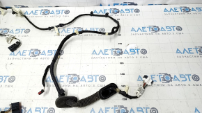 Wiring trunk door Ford Escape MK3 13-16 prerest