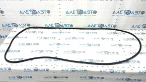 Door seal rear left VW Tiguan 21-24