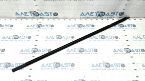 Molding door-glass center front left VW Tiguan 18-24 matte