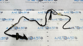 Wiring rear left door Toyota Prius V 12-17
