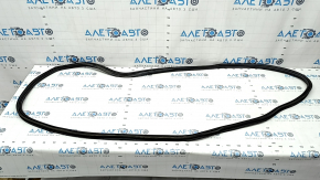 Rubber seal for the trunk door of a VW Tiguan 18-24