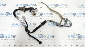 Wiring Front Right Door Honda Accord 18-22