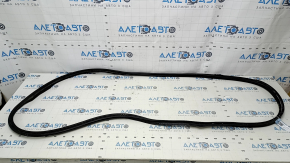 Audi A5 F5 17-24 5D trunk door seal tear