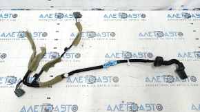 Rear left door wiring Nissan Leaf 13-17