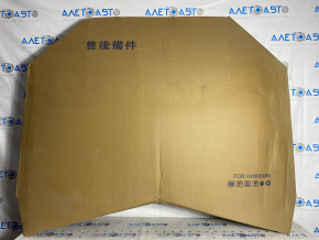 Naked hood Mazda 3 19- steel