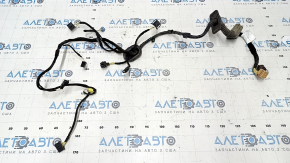 Wiring Front Right Door VW Beetle 12-19