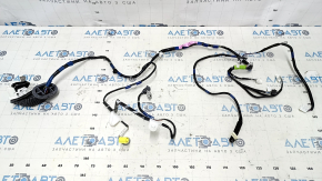 Wiring Front Left Door Lexus RX350 RX450h 16-20