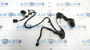 Rear right door wiring Ford Focus mk3 11-18
