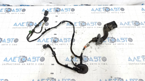 Rear right door wiring Ford Focus mk3 11-18
