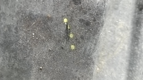 Engine protection BMW 5 F10 11-16 RWD cracks, scratches, broken fragment, delamination