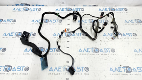 Front left door wiring Ford Focus mk3 11-18