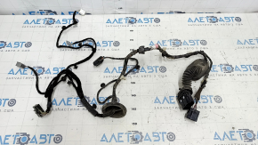 Front right door wiring Ford Focus mk3 11-18