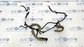 Lower tailgate wiring Nissan Murano z52 15-24