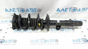 Shock absorber strut assembly front left Honda CRV 23-25 HEV AWD