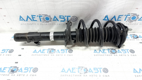 Shock absorber strut assembly front left Honda CRV 23-25 HEV AWD