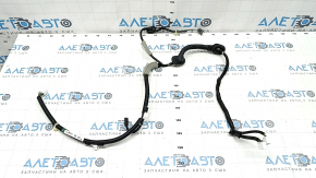 Trunk door wiring left Honda CRV 23-25